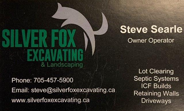 Silver Fox