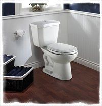 Foremost toilet