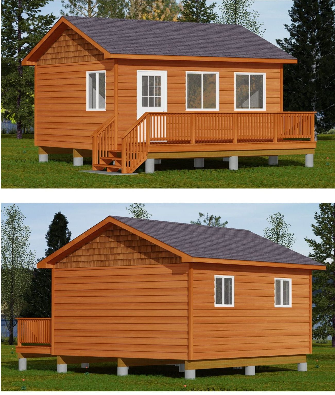 The Birch